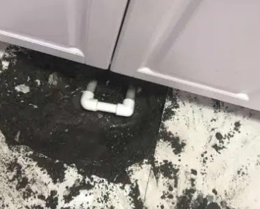 密山查漏水哪家好