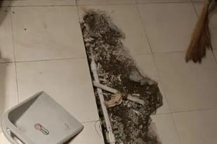 密山卫生间漏水检测电话